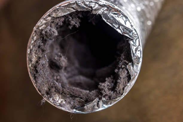 Best Dryer Vent Cleaning Services  in Vermillion, SD