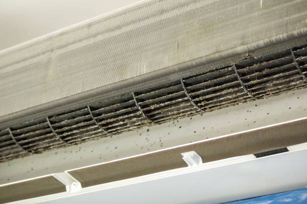 Best Affordable HVAC Duct Cleaning  in Vermillion, SD